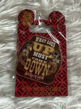 Disney Parks Splash Mountain Vultures Pin What Goes Up Must Come Down Trading Pi